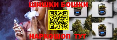 стаф Новокубанск
