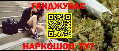 стаф Новокубанск