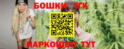 стаф Новокубанск