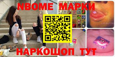 стаф Новокубанск