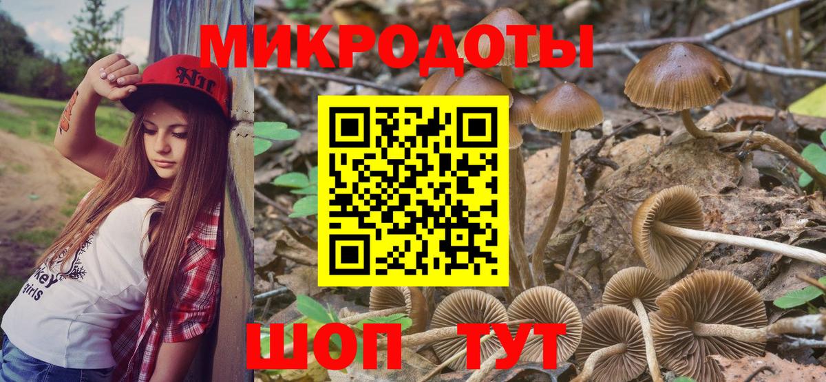 Псилоцибиновые грибы Psilocybe Электрогорск